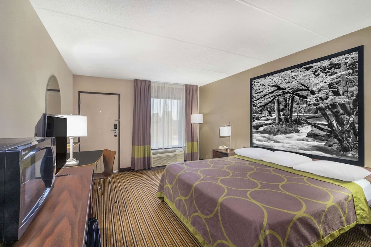 Une chambre d’hôtel avec un lit, un bureau, une télévision, une fenêtre avec des rideaux et un grand tableau encadré au mur.
