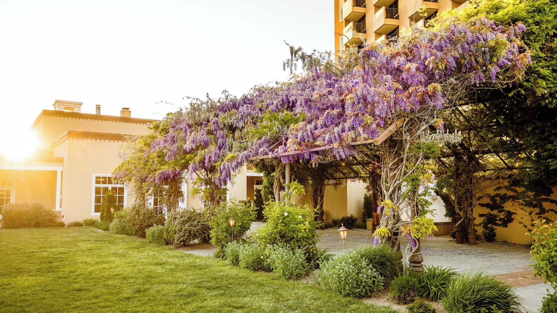 Un edificio con un porche cubierto y un jardín con diversas plantas y una pérgola adornada con flores moradas.