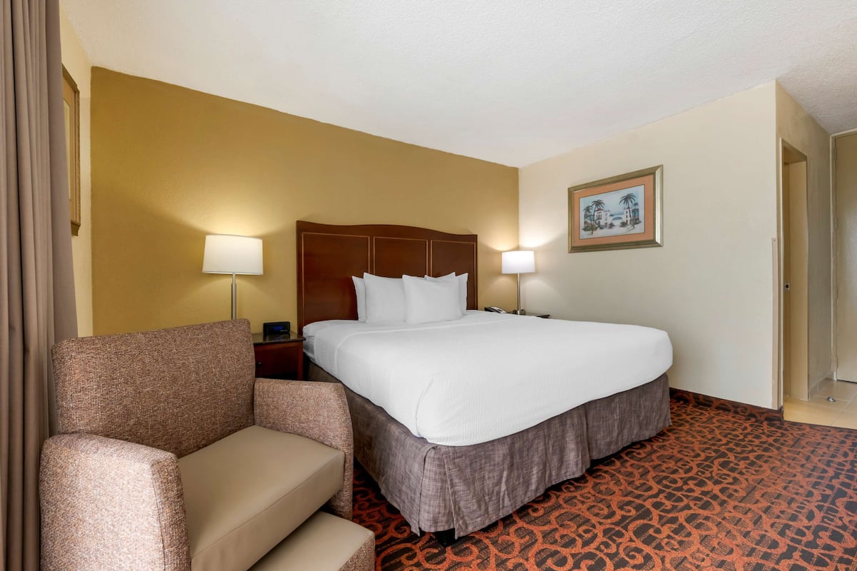 A hotel room with a bed, a chair, a nightstand, a lamp, and a framed picture on the wall.
