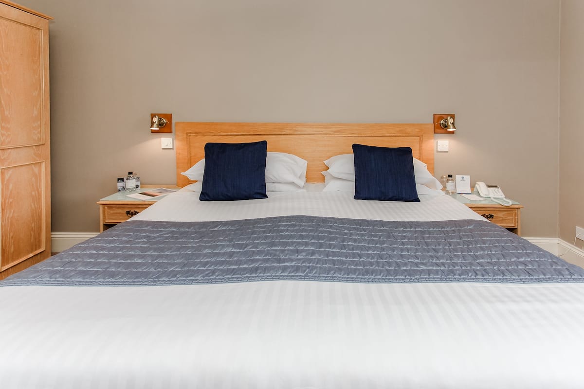 standard room, 1 king bed, non smoking | 1 bedroom, individually furnished, desk, laptop workspace