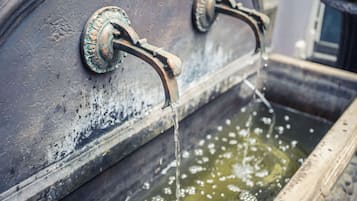 A water feature with two metal spouts and a basin.