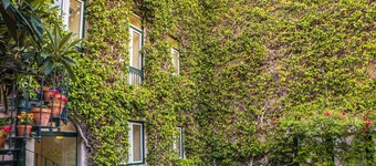 As Janelas Verdes Inn, a Lisbon Heritage Collection