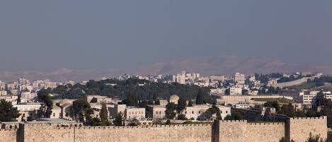 A historic stone wall with a fortified structure, surrounded by greenery and urban buildings in the background.