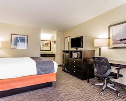 Pillowtop beds, desk, laptop workspace, blackout drapes