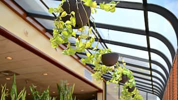 供應早餐、午餐、晚餐;美國菜