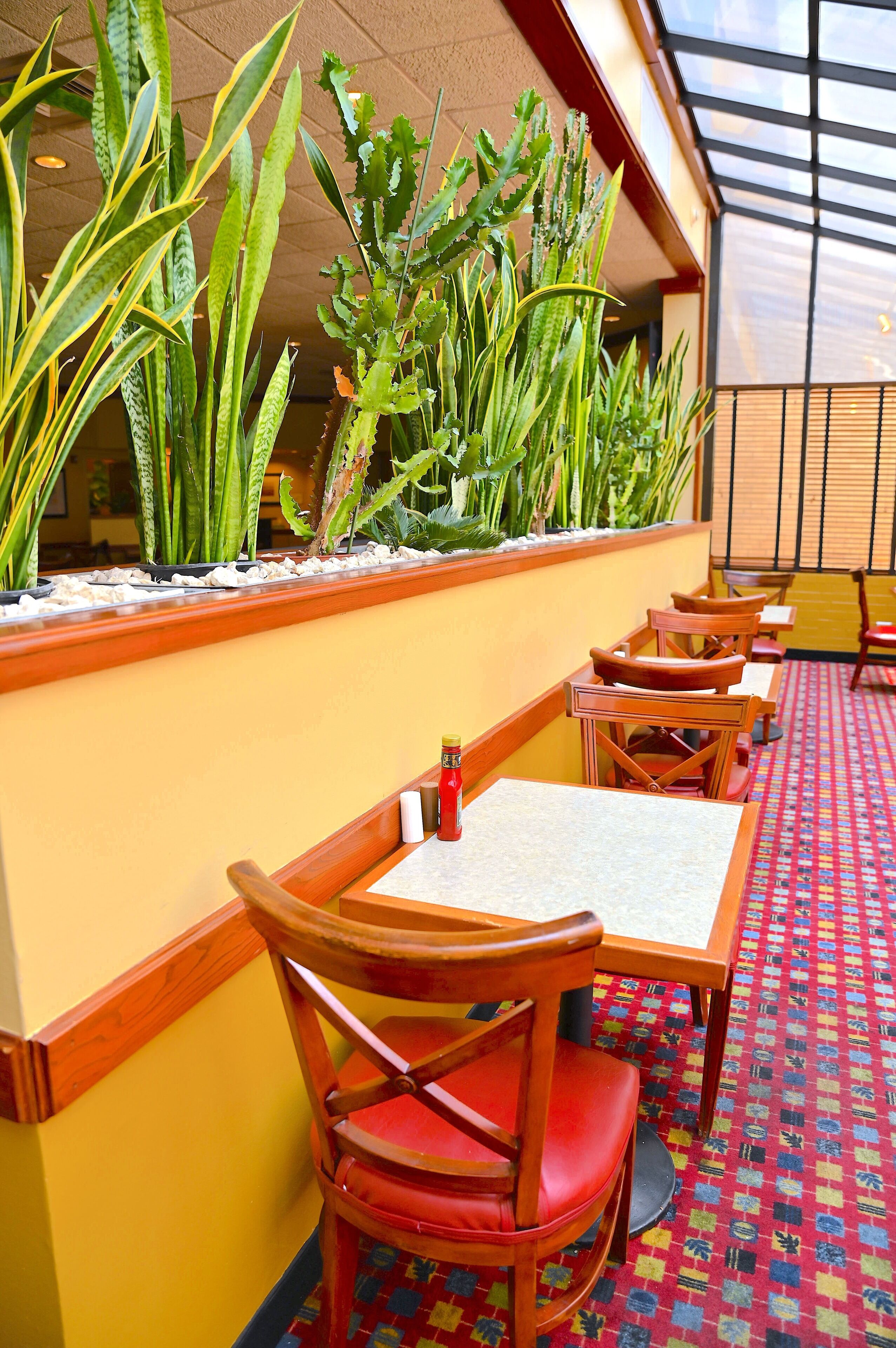 breakfast, lunch, dinner served; american cuisine