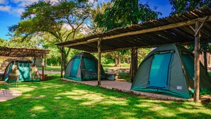 A campsite with several tents under a wooden shelter, surrounded by grass and trees. - Great Zimbabwe Hotel (Masvingo)