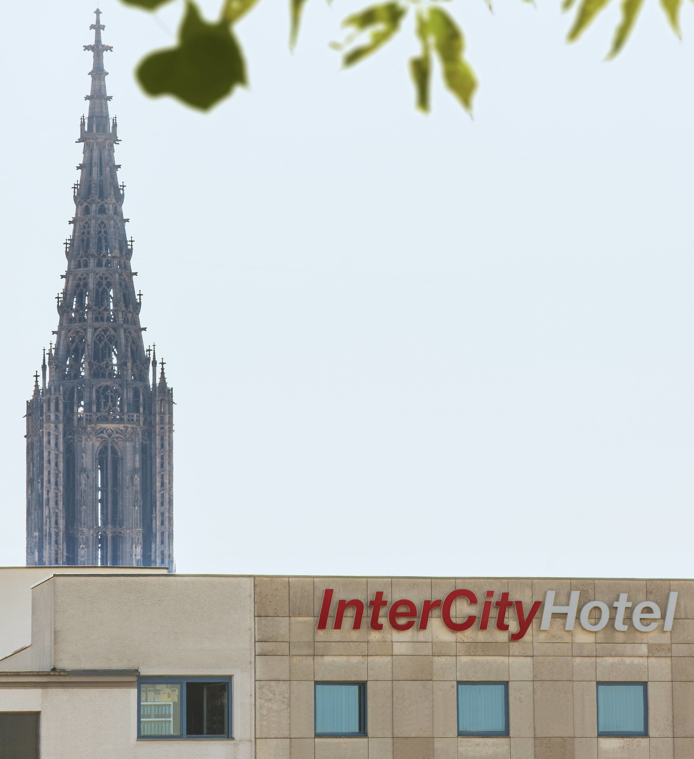 Vue depuis l’hébergement