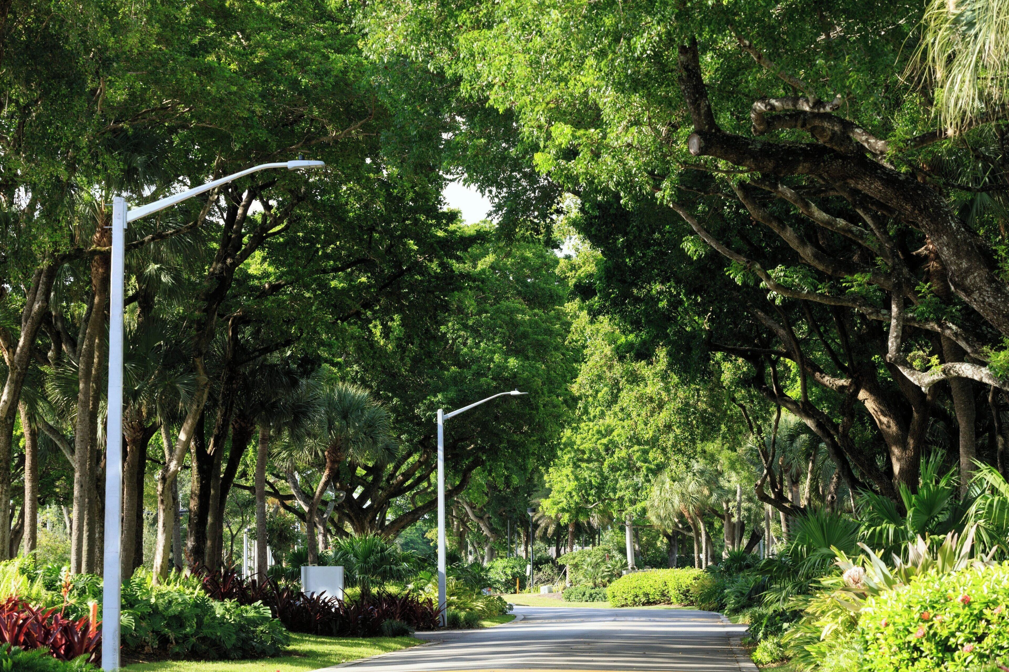 Foto - The Westin Fort Lauderdale