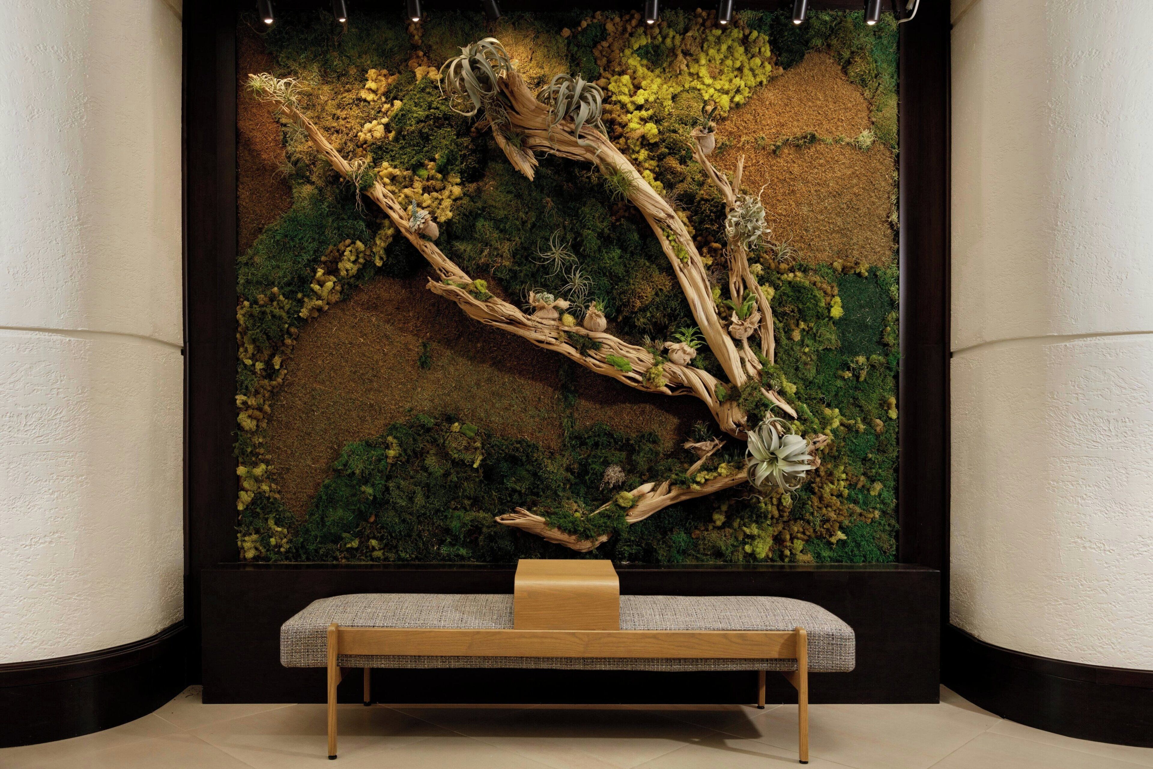 Foto - The Westin Fort Lauderdale