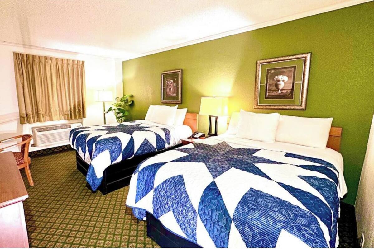 A hotel room with two beds, a desk, a chair, a plant, and two framed pictures on the wall.