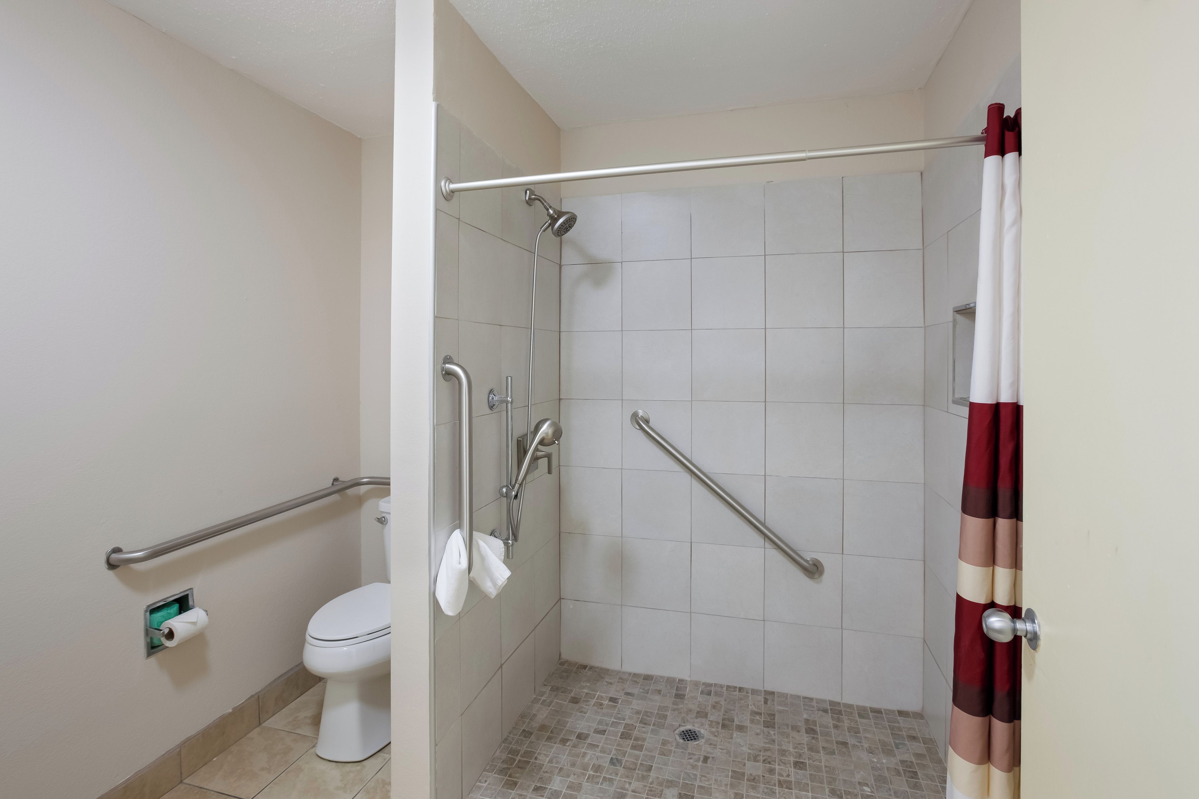 A bathroom with a shower, toilet, and handrails.
