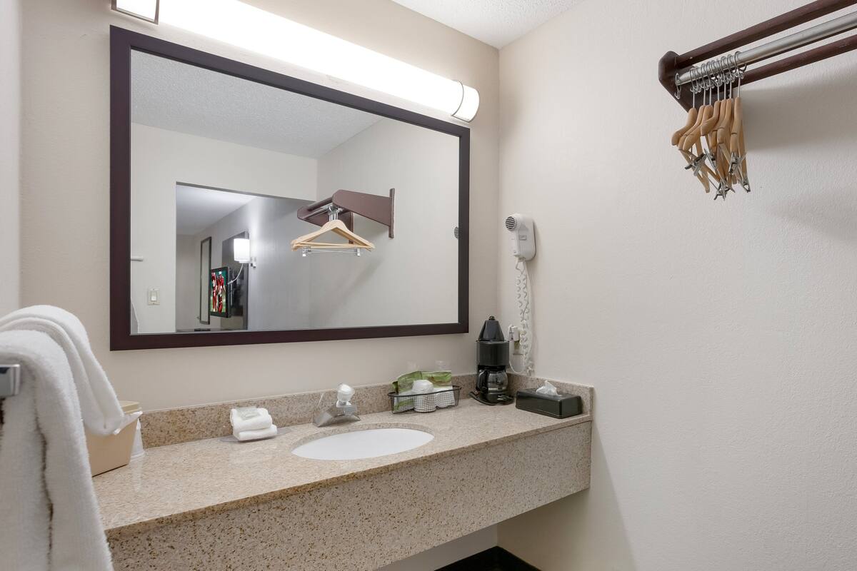 A bathroom with a large mirror, a sink, a towel rack, a hairdryer, and a coffee maker.