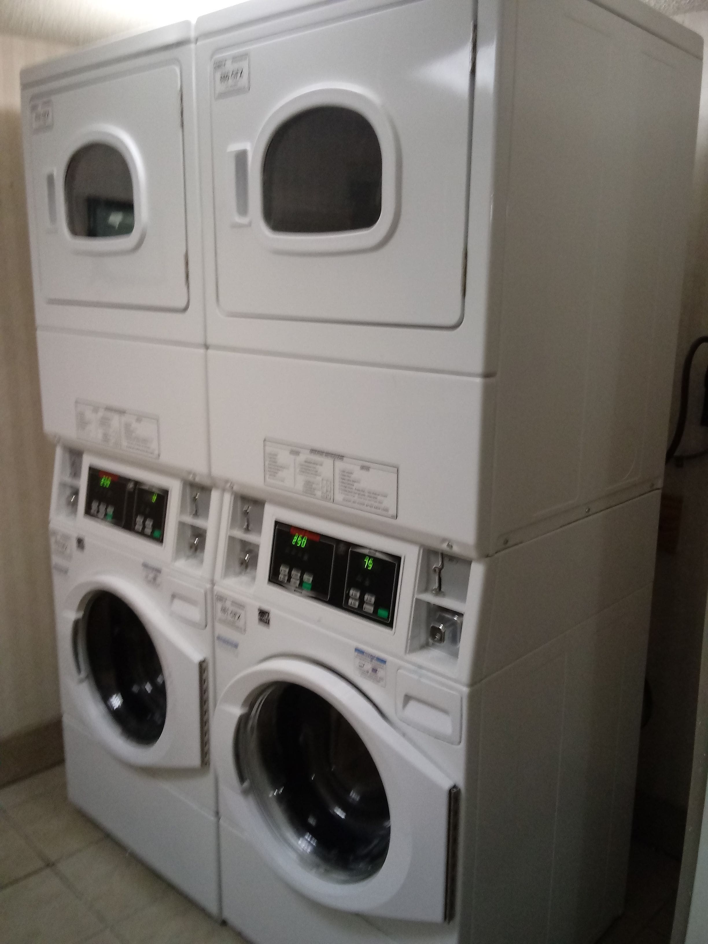 Photo - Wyndham Garden Hotel - Jacksonville