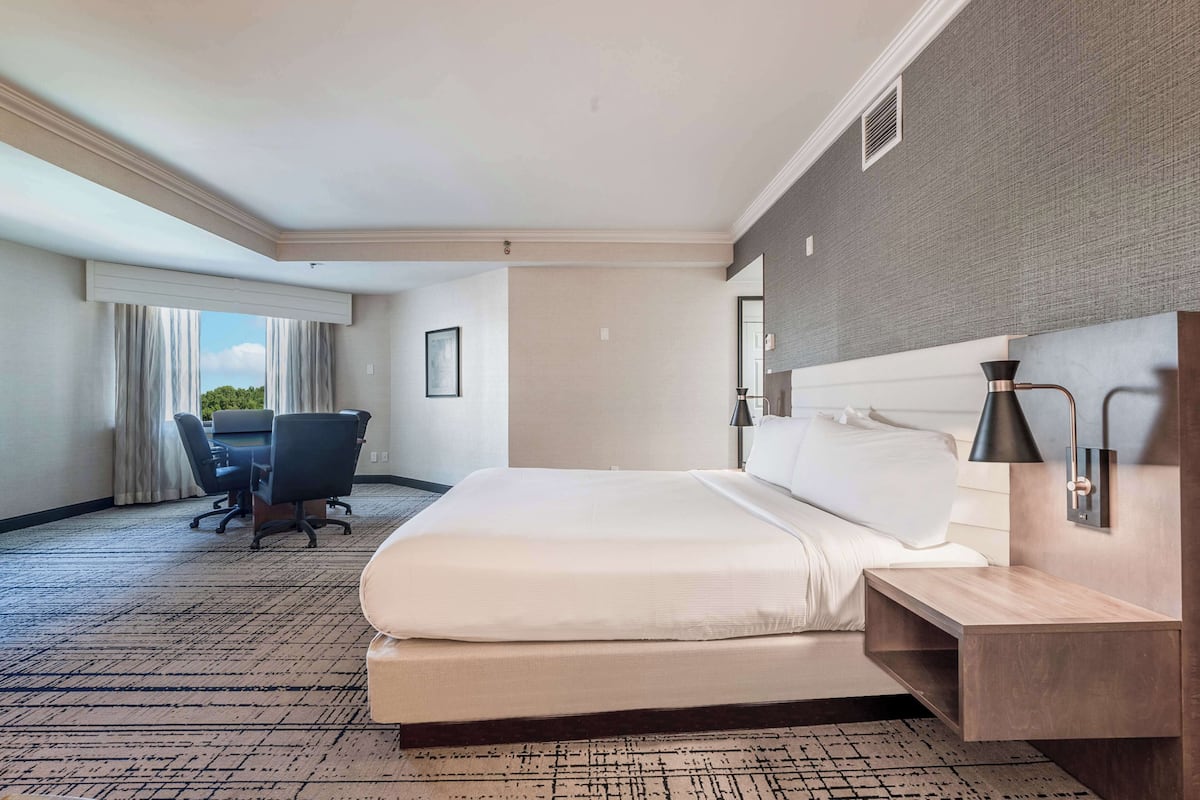 A hotel room with a large bed, a desk, and a view of the outdoors.