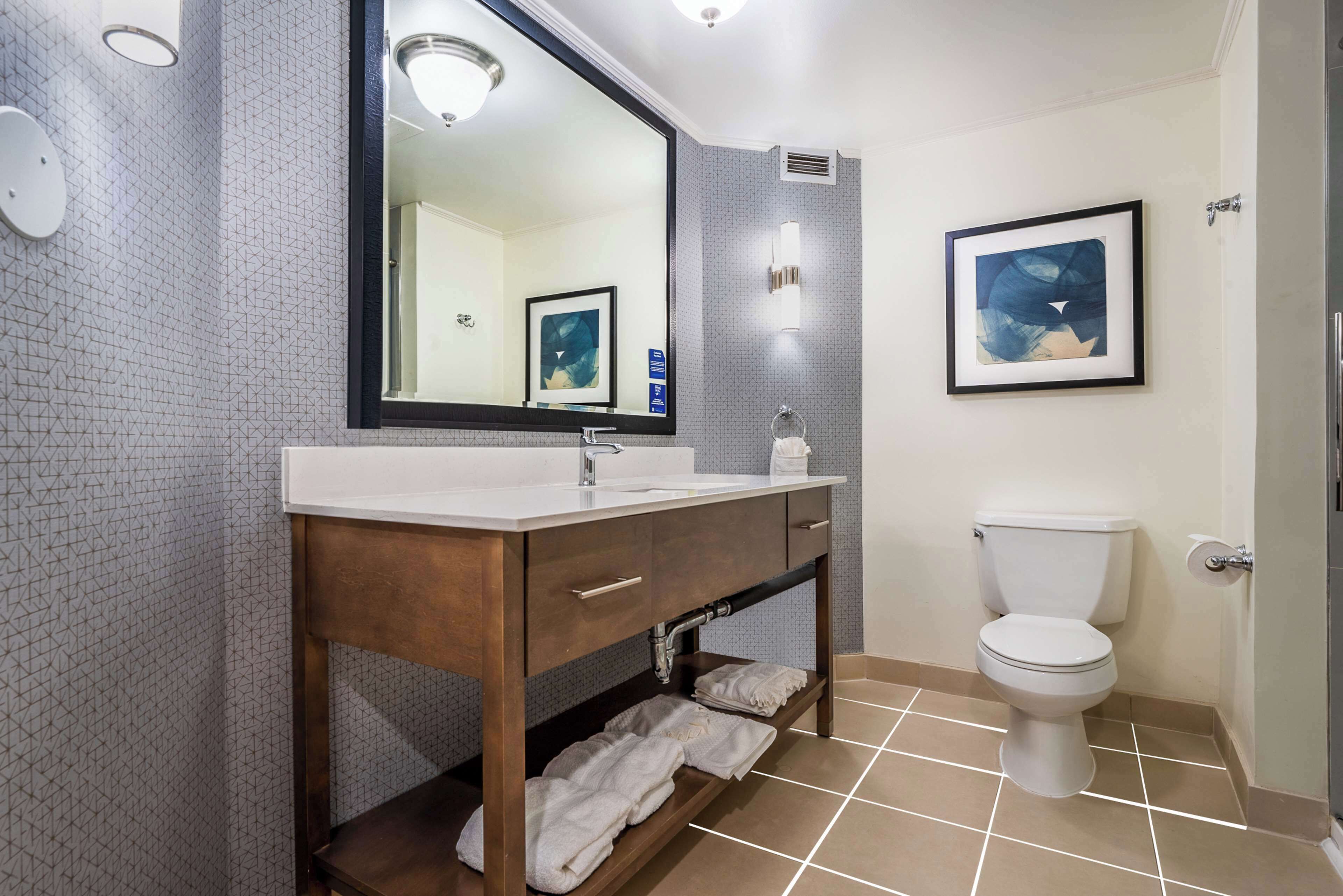 A bathroom with a white sink, a large mirror, a framed picture on the wall, and a toilet.
