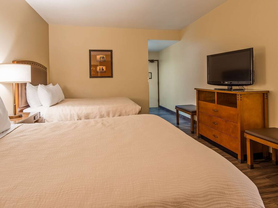 A hotel room with two beds, a TV on a wooden cabinet, a bench, and a desk with a lamp.