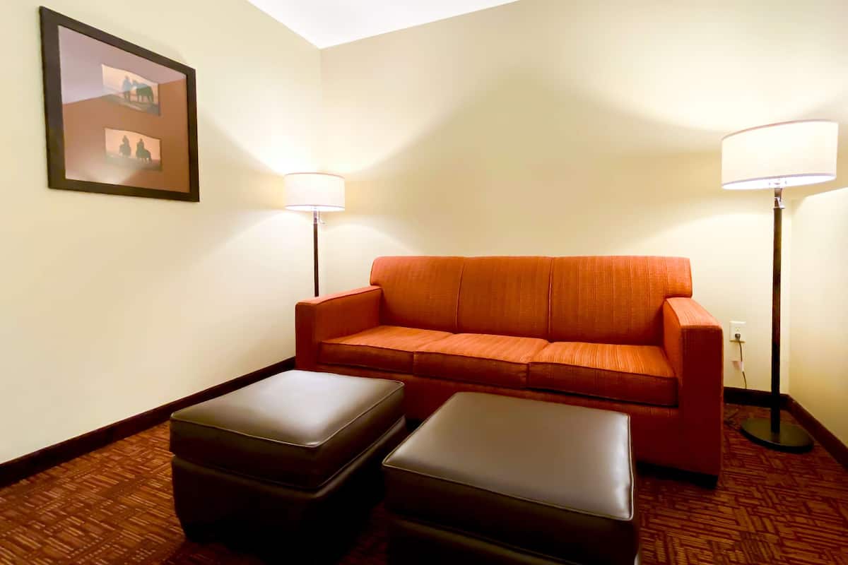 standard room, 1 king bed with sofa bed, non smoking, refrigerator (with sofabed) | 1 bedroom, egyptian cotton sheets, premium bedding, memory-foam beds