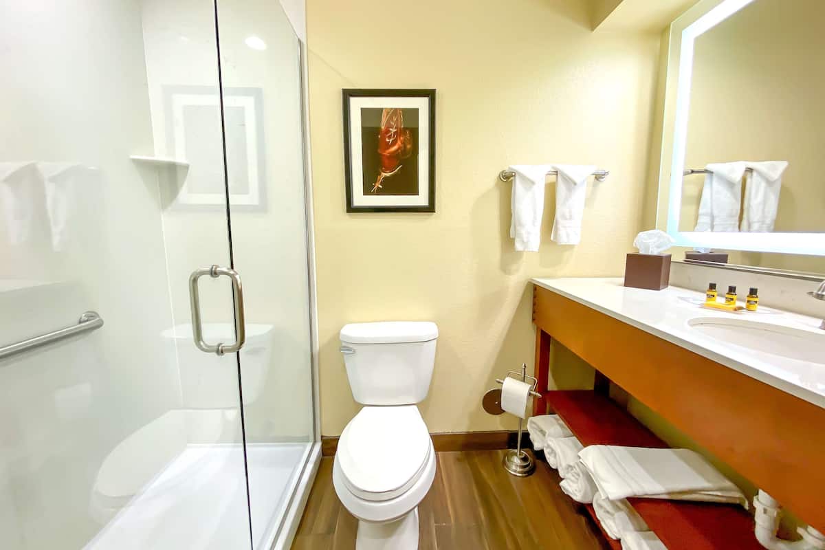 free toiletries, hair dryer, towels, soap