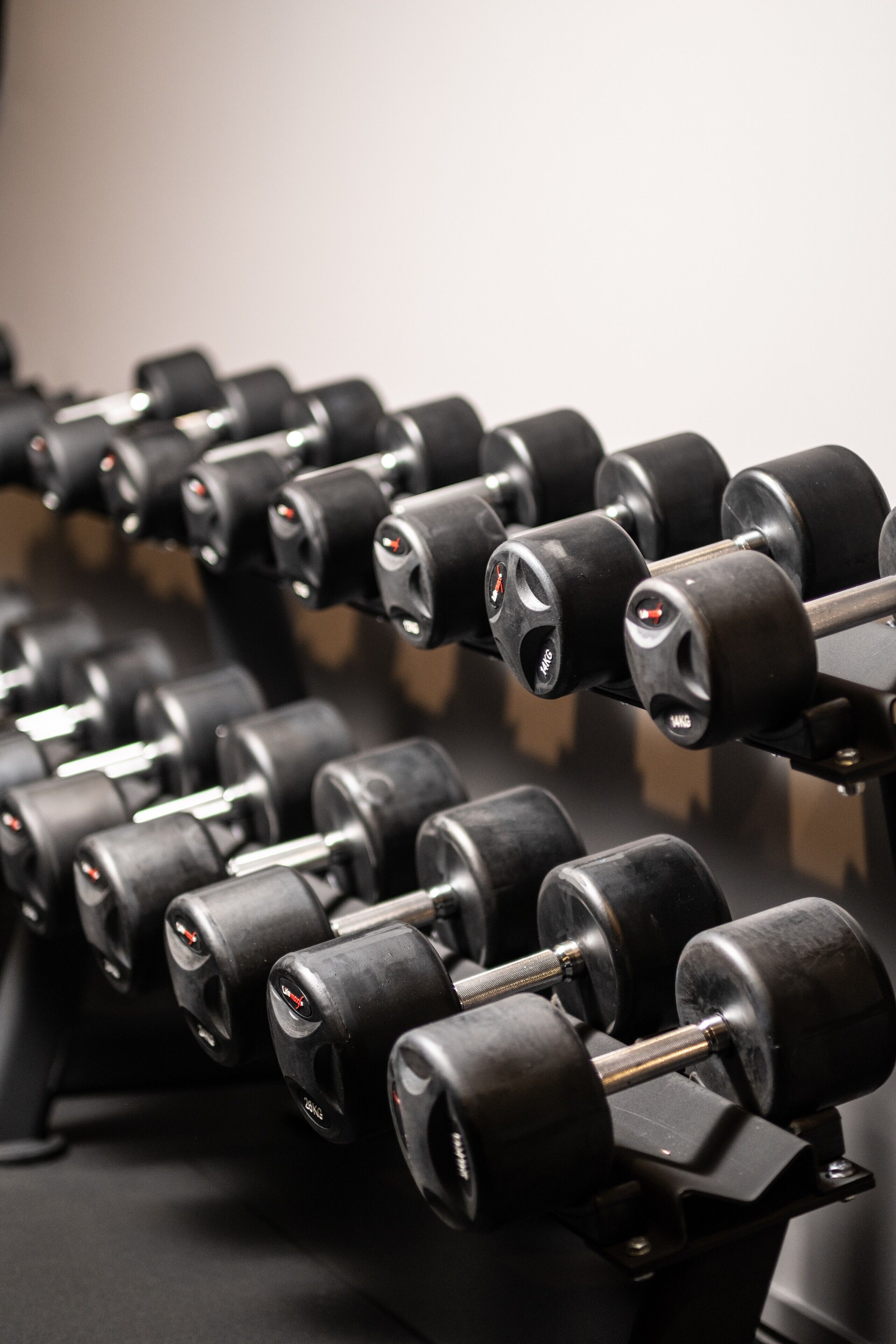 Une rangée d’haltères noirs sur un support.