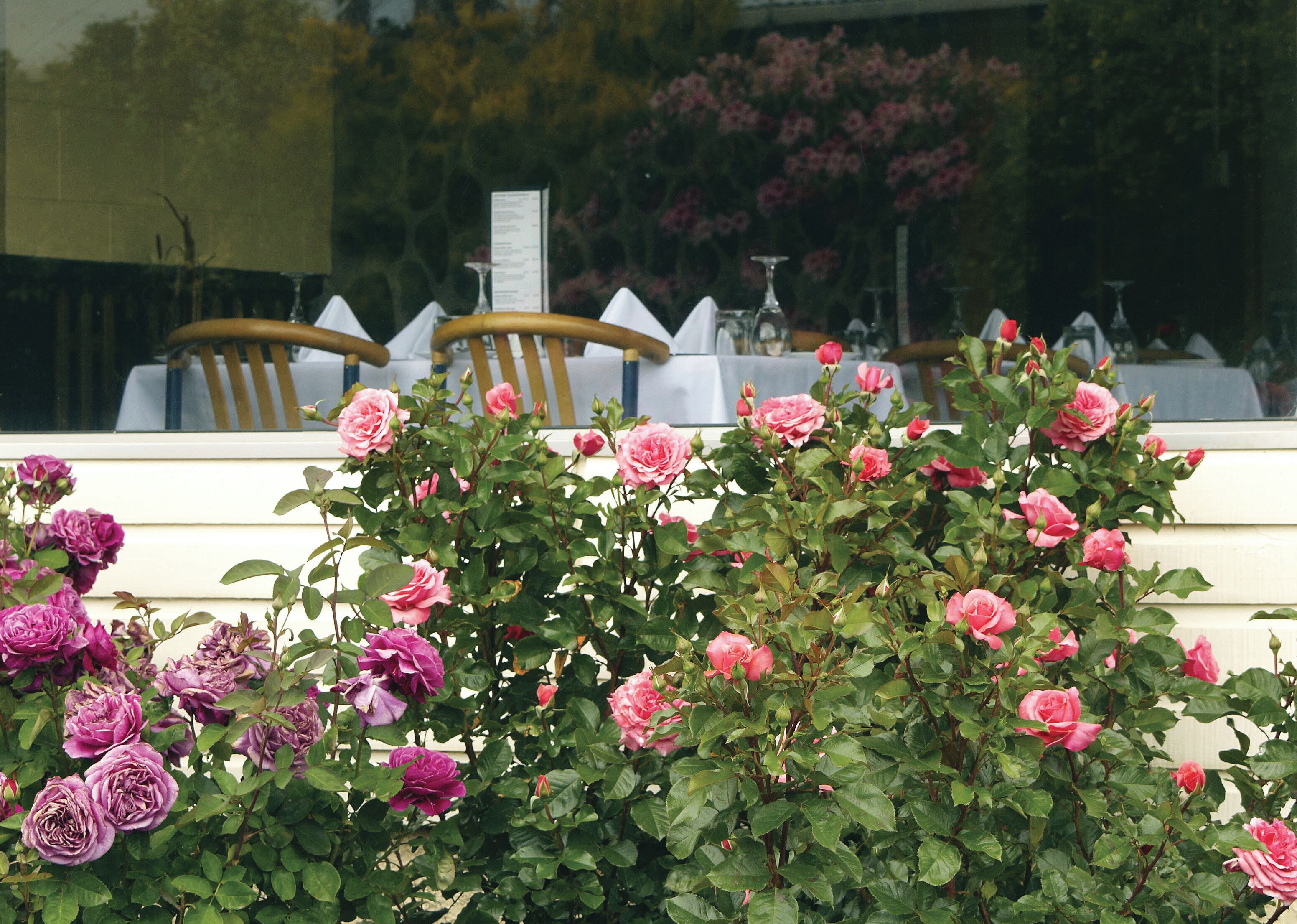 A row of white chairs with wooden armrests and a table with a menu stand in the background.