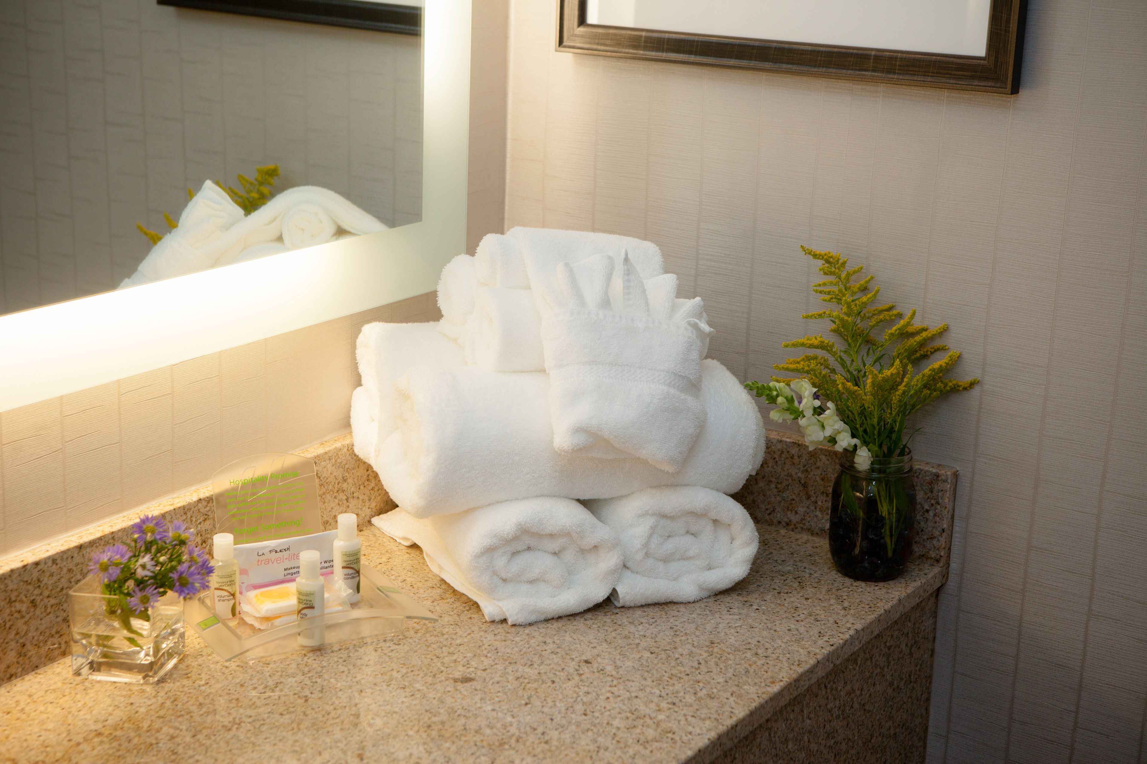 combined shower/bathtub, free toiletries, hair dryer, towels