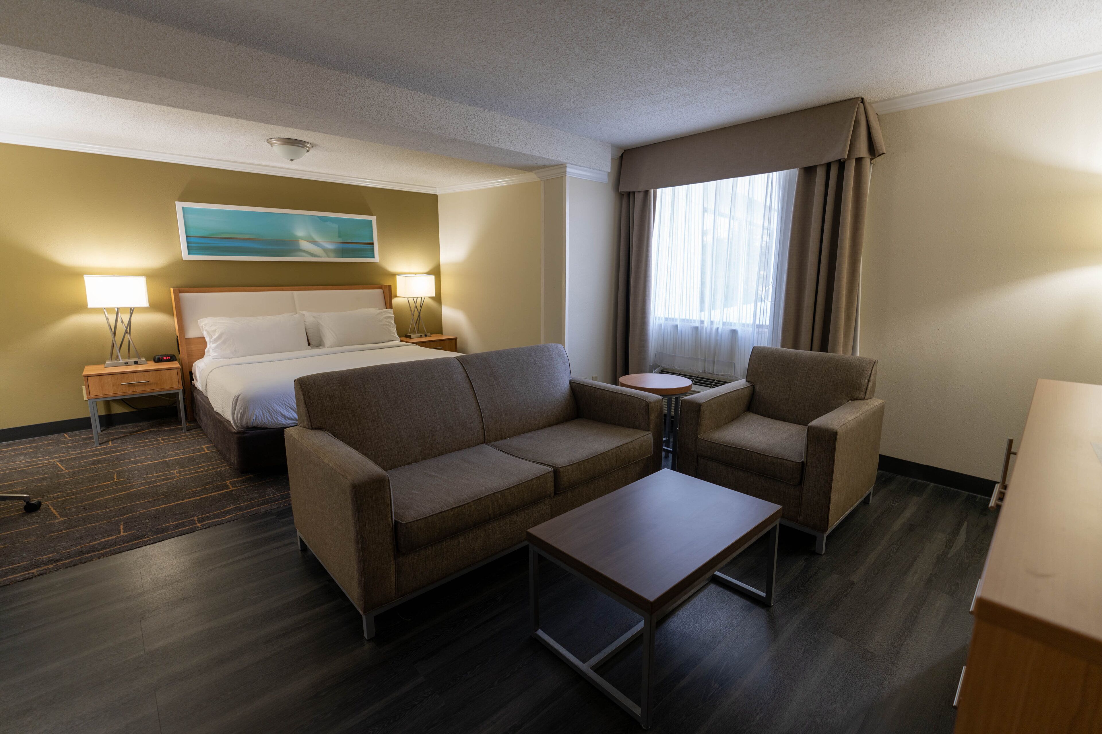 standard room, 1 king bed with sofa bed | 1 bedroom, desk, laptop workspace, iron/ironing board