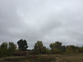 Un campo con árboles dispersos y cielo nublado.
