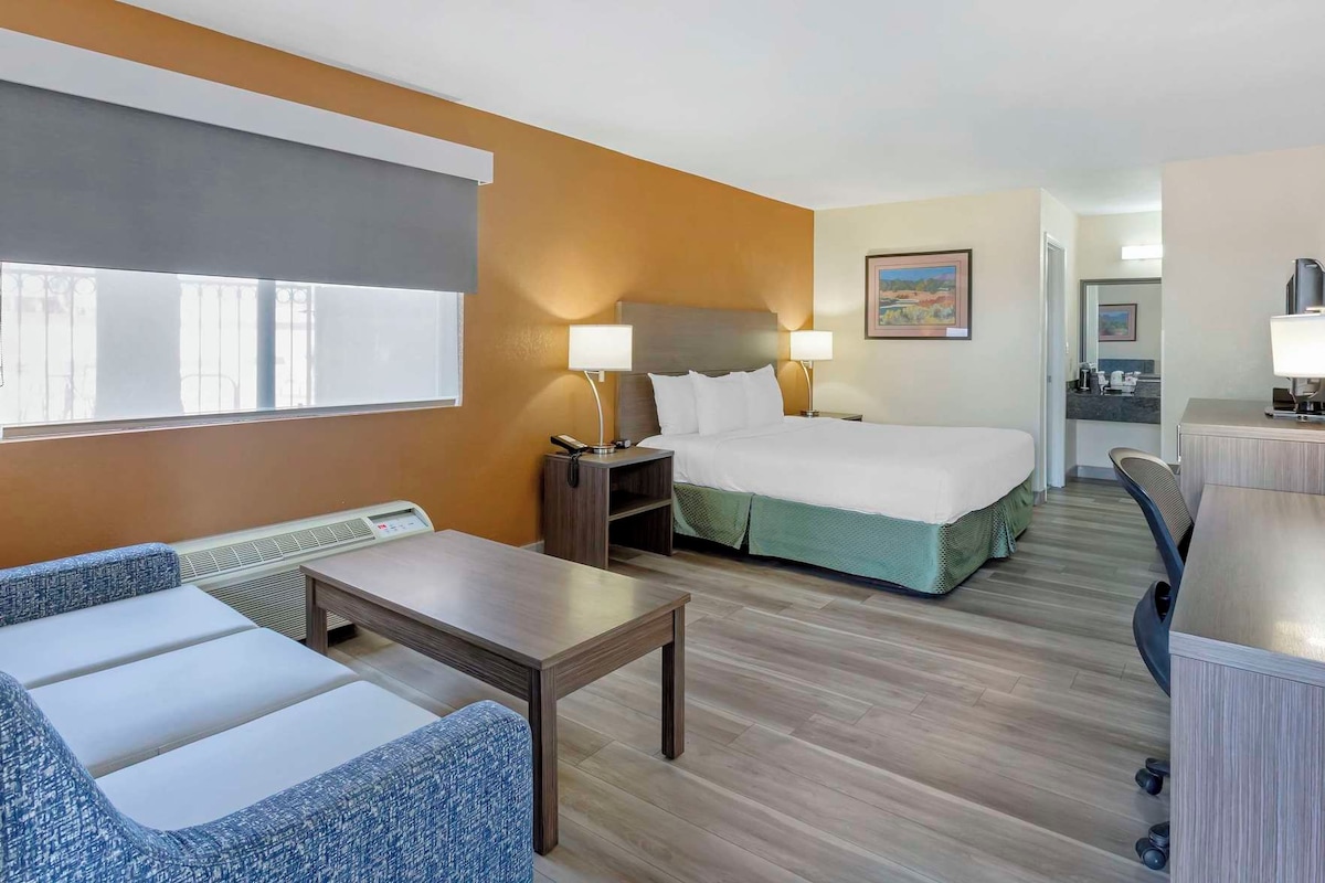 A hotel room with a bed, a desk, a chair, and a sofa.