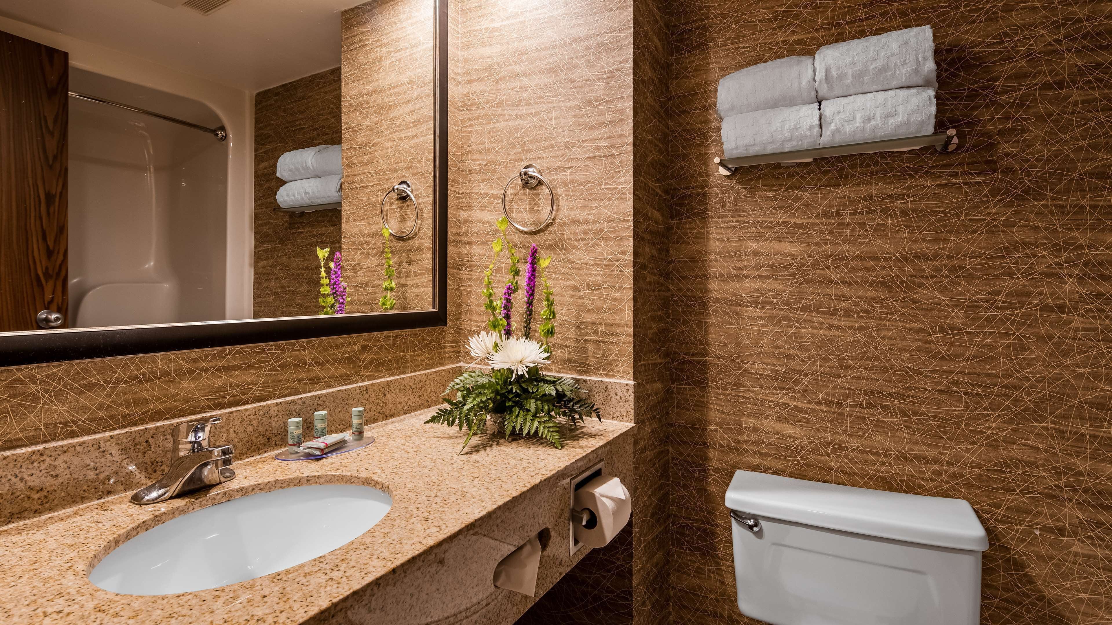 combined shower/bathtub, free toiletries, hair dryer, towels