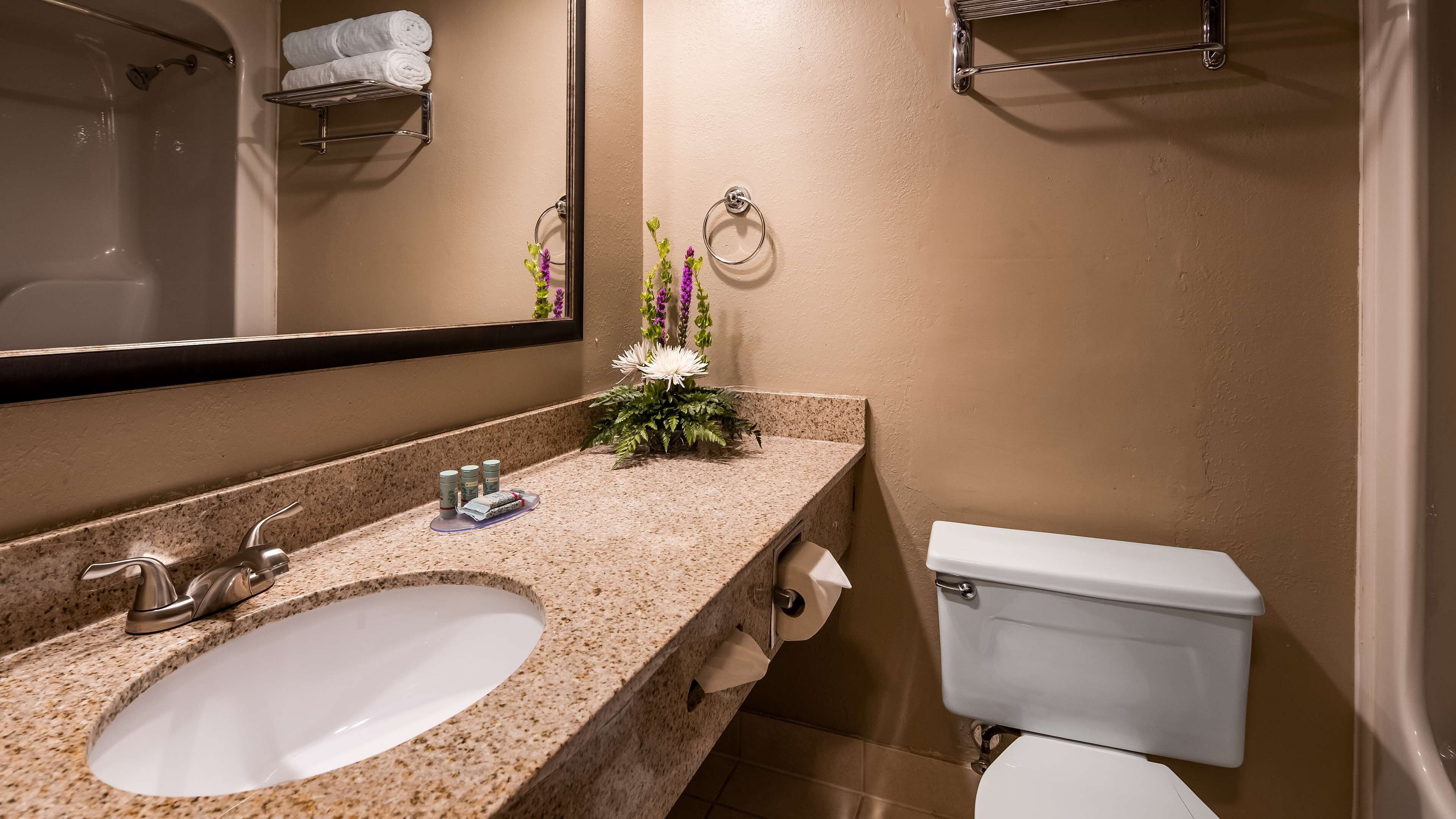 Une salle de bain avec un lavabo à dessus en granit, un miroir, des toilettes et un porte-serviettes.