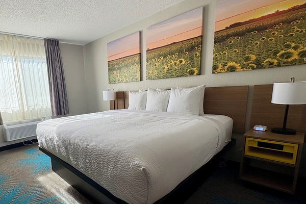 Standard Room, 1 King Bed | Pillowtop beds, desk, blackout drapes, WiFi (free)