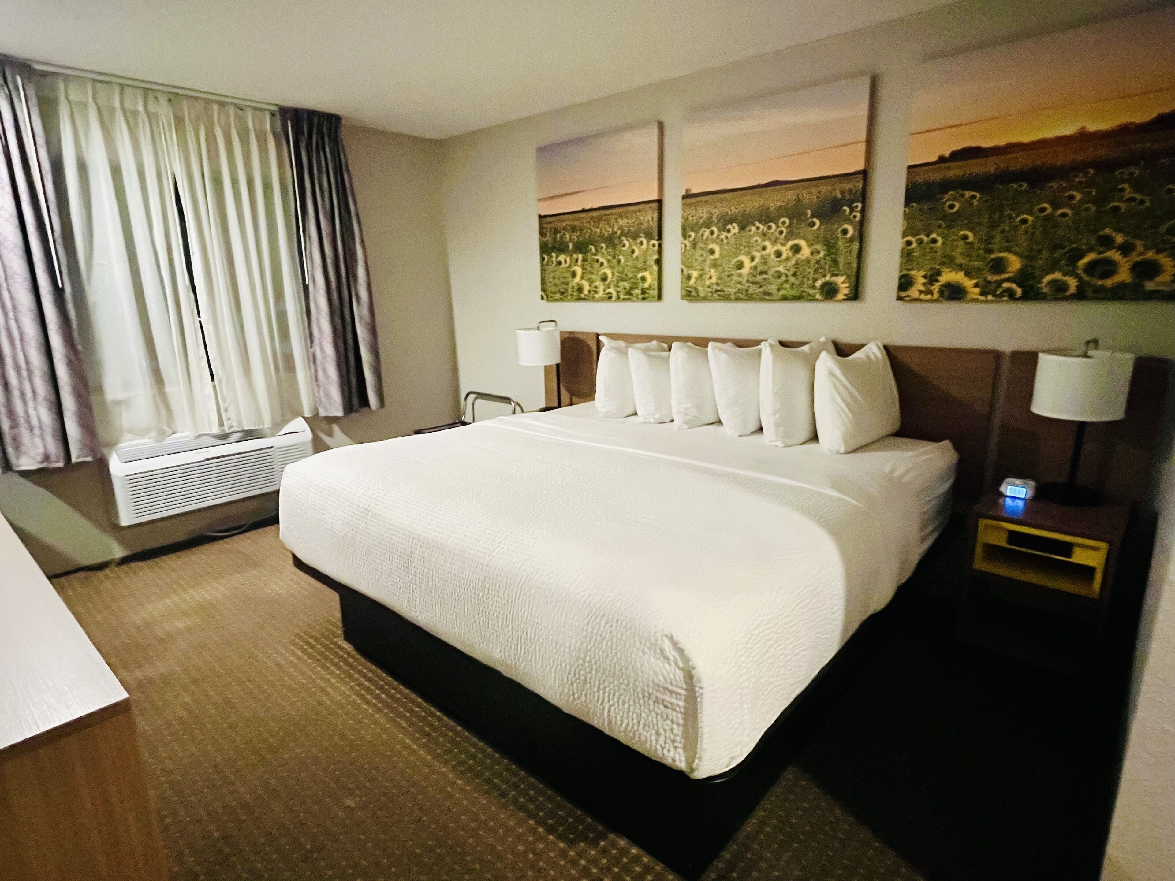 A hotel room with a large bed, a bedside table with a lamp, a nightstand, a window with curtains, and artwork on the wall.