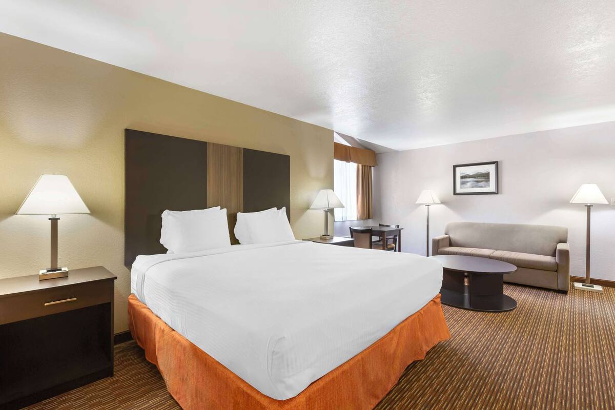 Standard Room, 1 King Bed, Non Smoking, Refrigerator & Microwave (with Sofabed) | 1 bedroom, desk, laptop workspace, blackout drapes