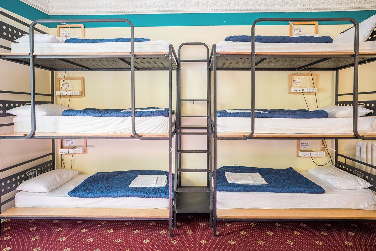 A bunk bed room with a ladder, a red patterned carpet, and a white wall with a small shelf.