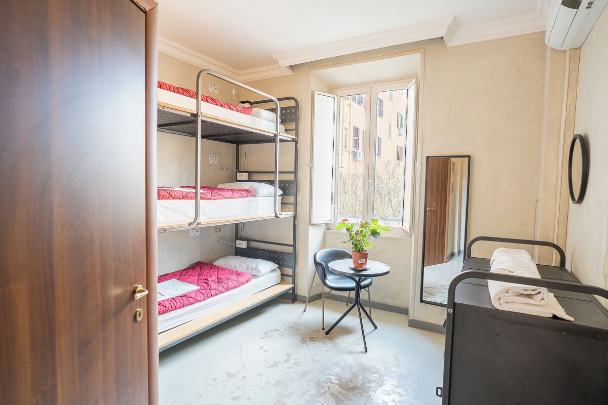 A dormitory room with bunk beds, a small table with a plant, and a window with a view of buildings.