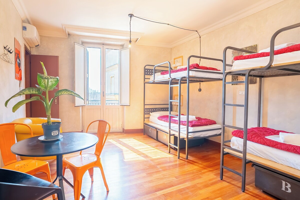 A dormitory room with bunk beds, a small table with chairs, a potted plant, and a window.