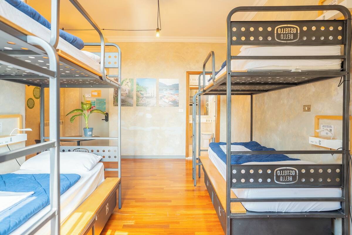 Une chambre avec un lit superposé, un plancher en bois, une plante en pot et une affiche accrochée au mur.