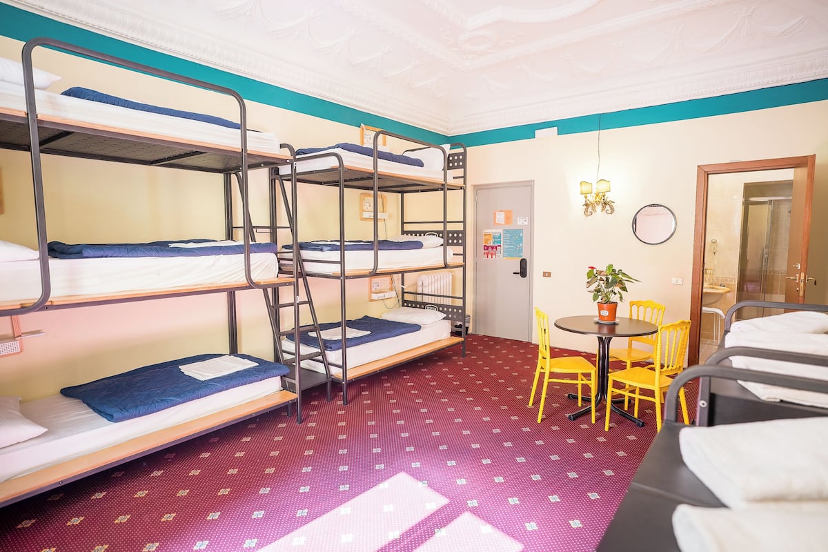 Une chambre de dortoir avec des lits superposés, une petite table avec des chaises, une plante en pot et un miroir au mur.