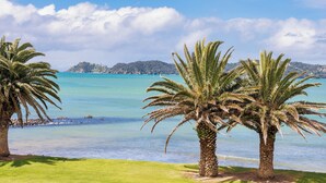 A beach with palm trees and a clear view of the ocean. - Copthorne Hotel and Resort Bay of Islands (Waitangi)