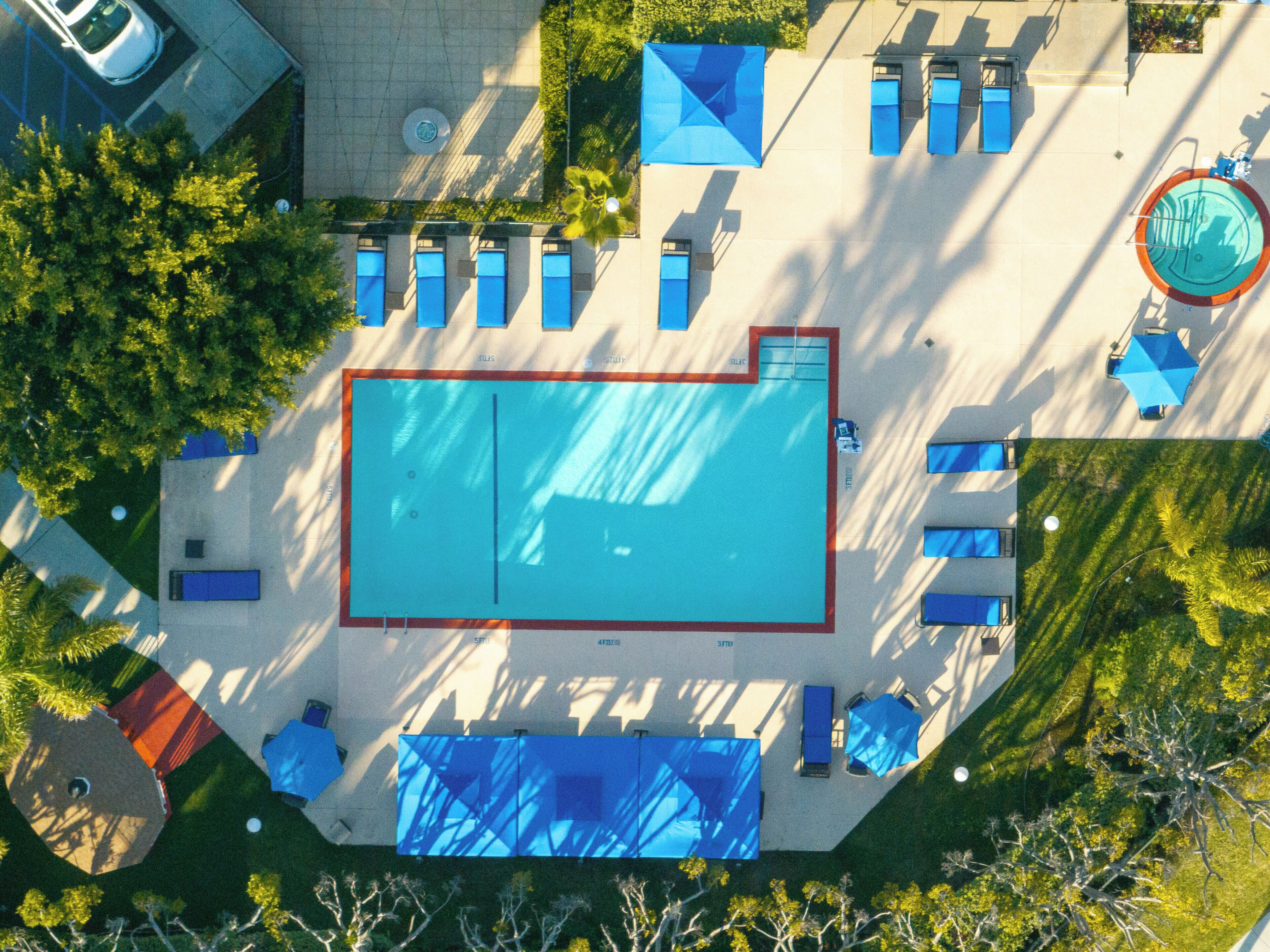 Outdoor pool, sun loungers