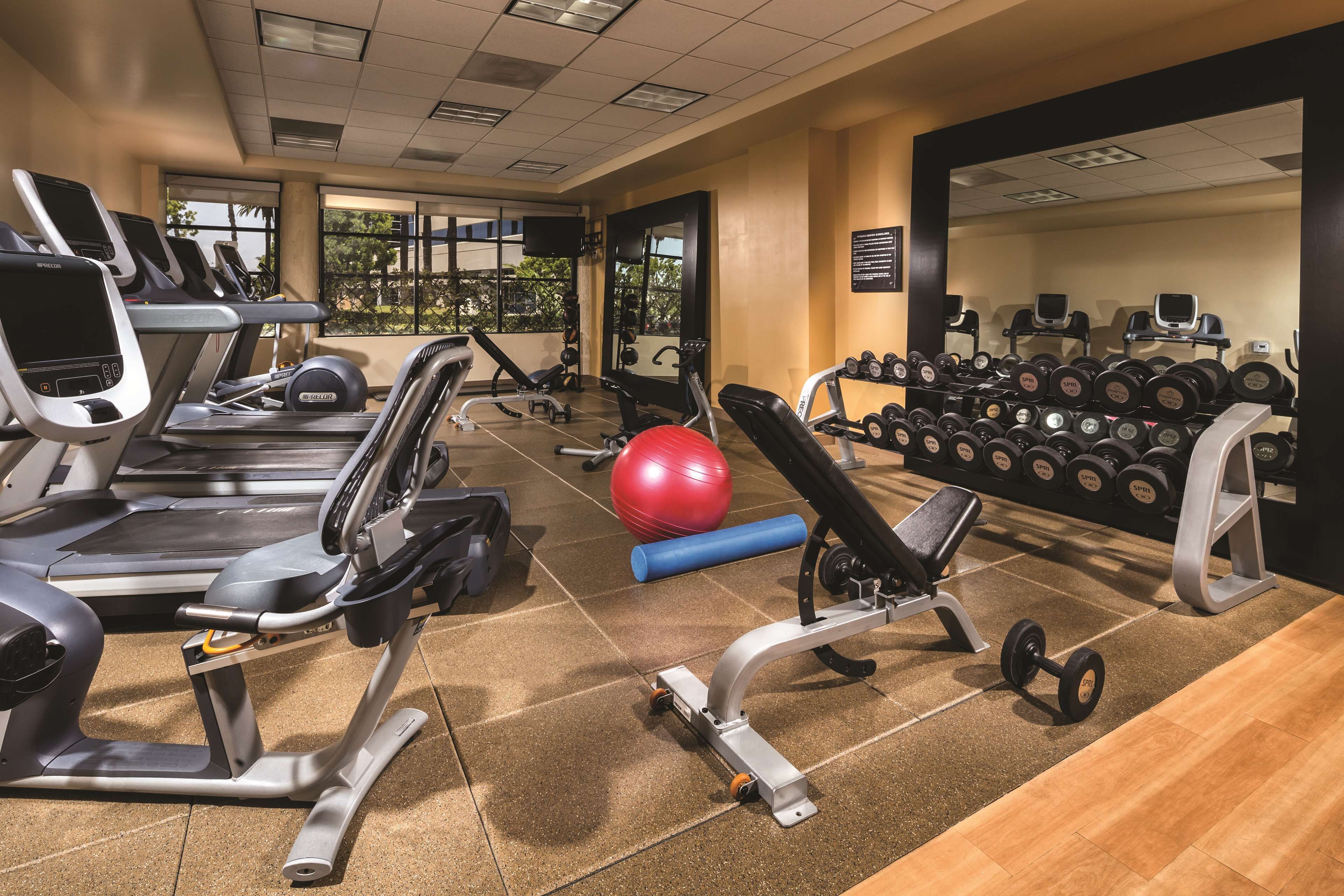 A gym with treadmills, weight machines, and a mirror.