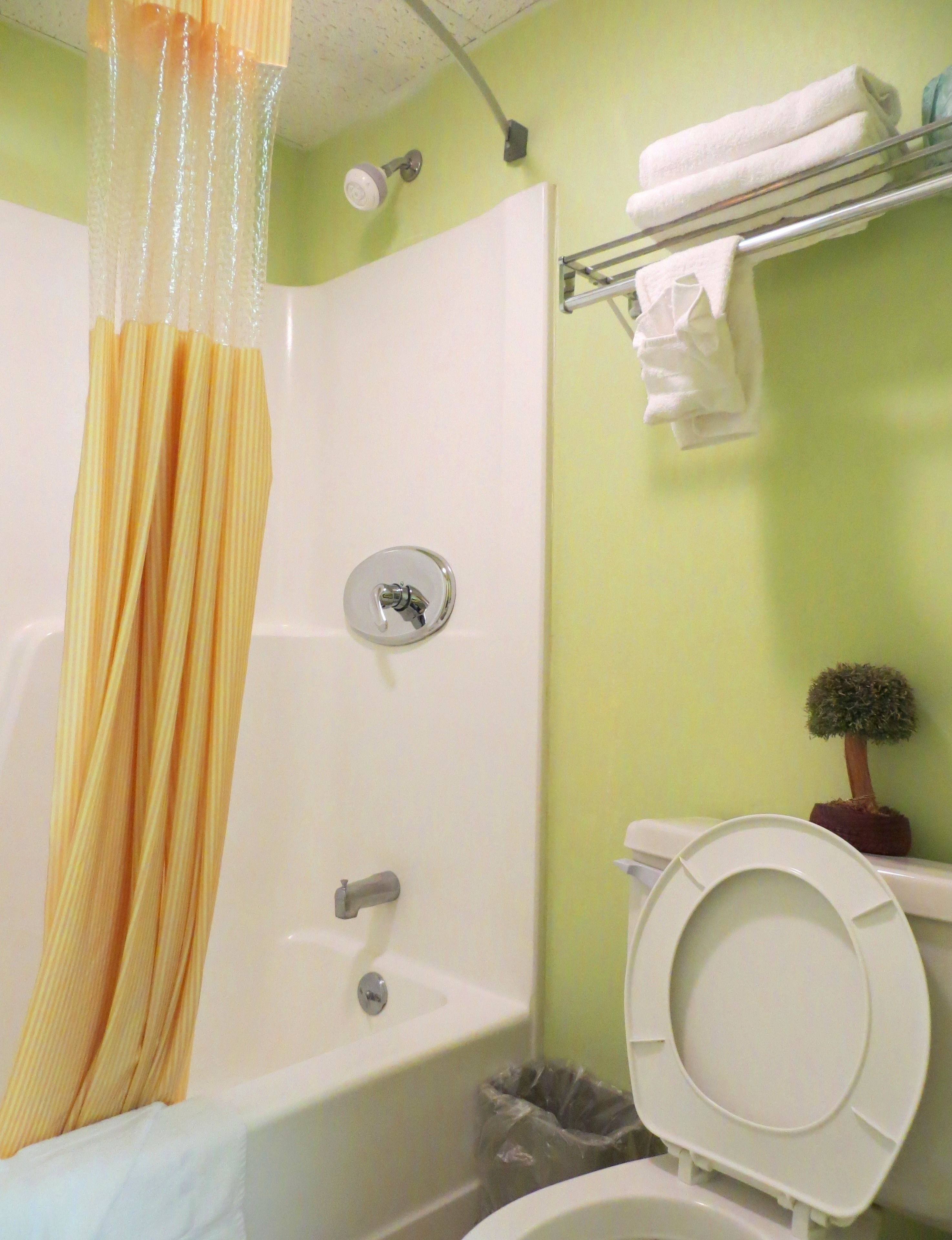 combined shower/bathtub, free toiletries, hair dryer, towels