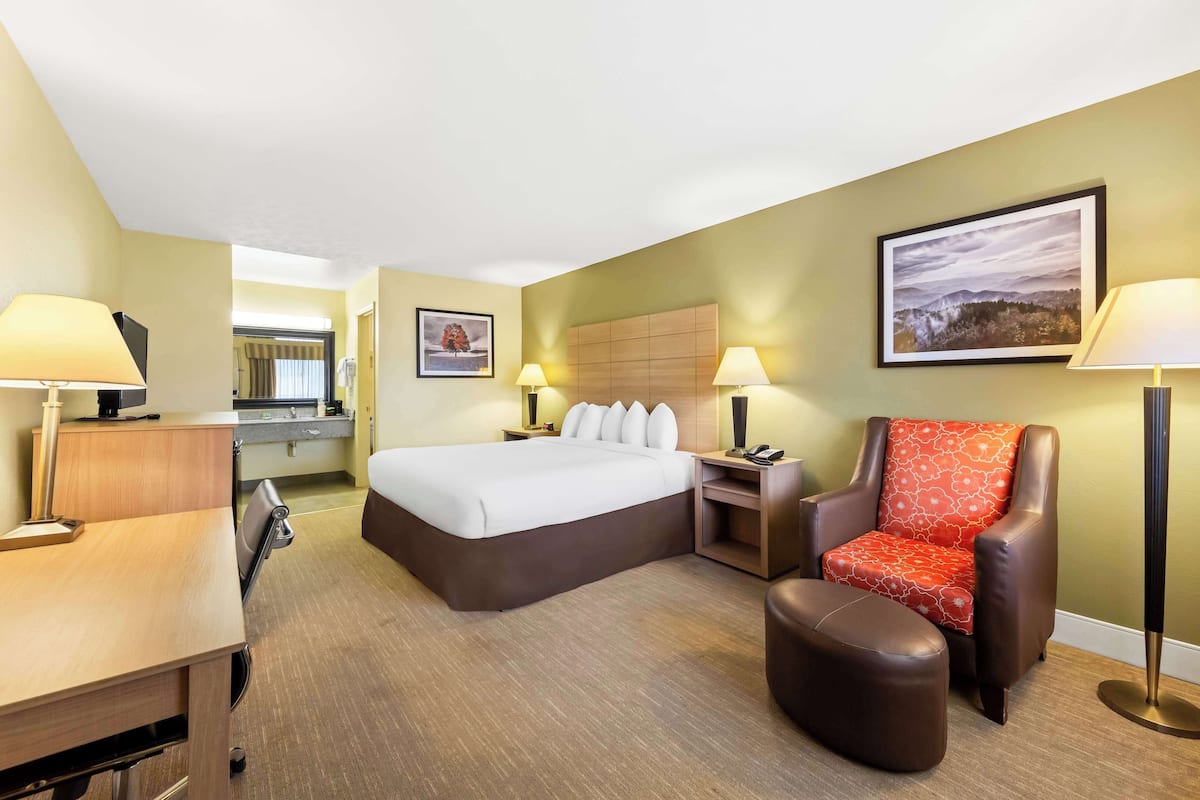 A hotel room with a bed, a desk, a chair, a bedside table, and a lamp.