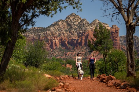 Sky Rock Sedona, a Tribute Portfolio Hotel - Image 3
