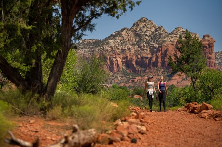 Sky Rock Sedona, a Tribute Portfolio Hotel - Image 18