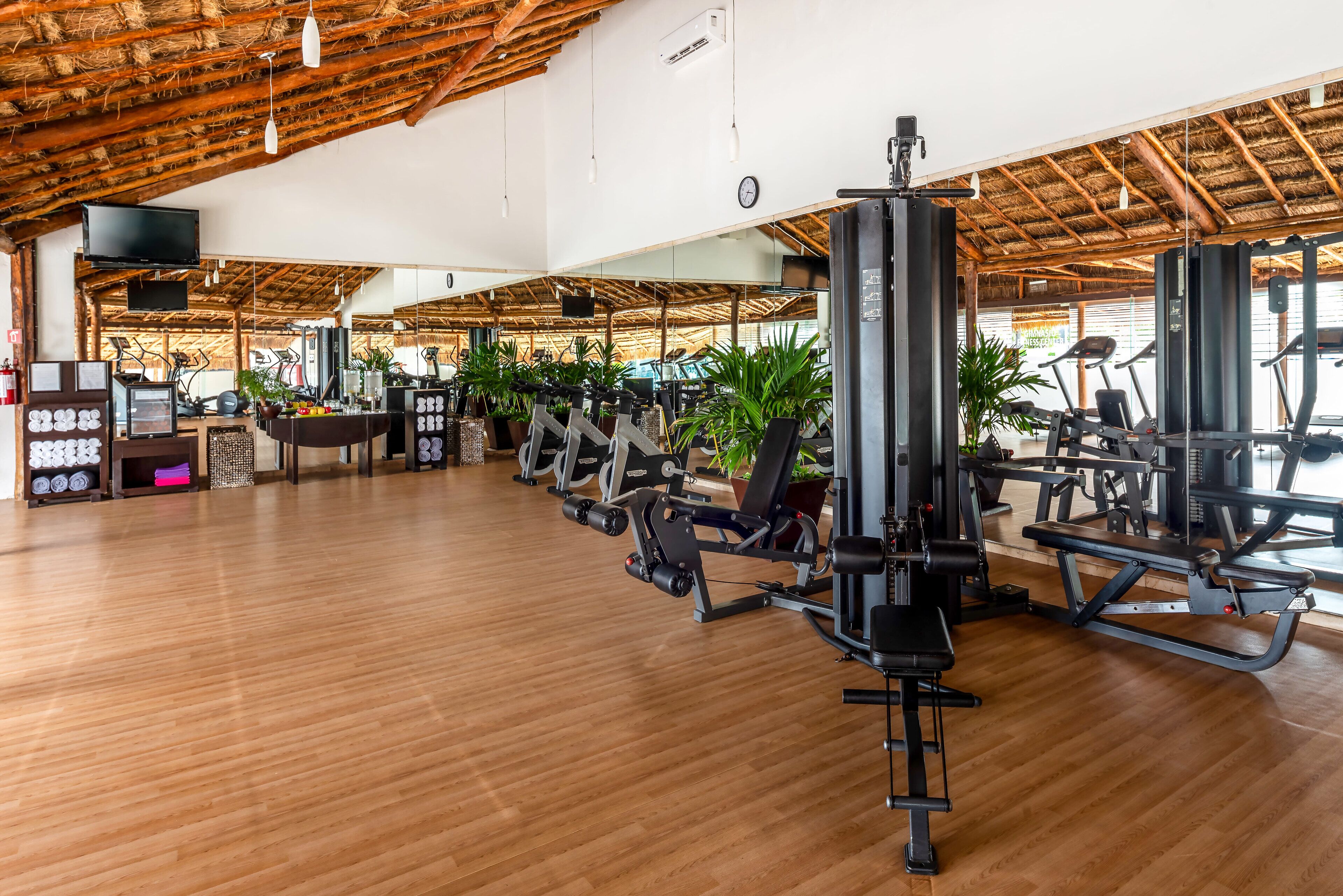 A spacious gym with wooden floors, exercise equipment, and potted plants.