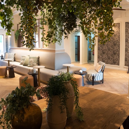 A modern lounge area with sofas, a coffee table, and potted plants.