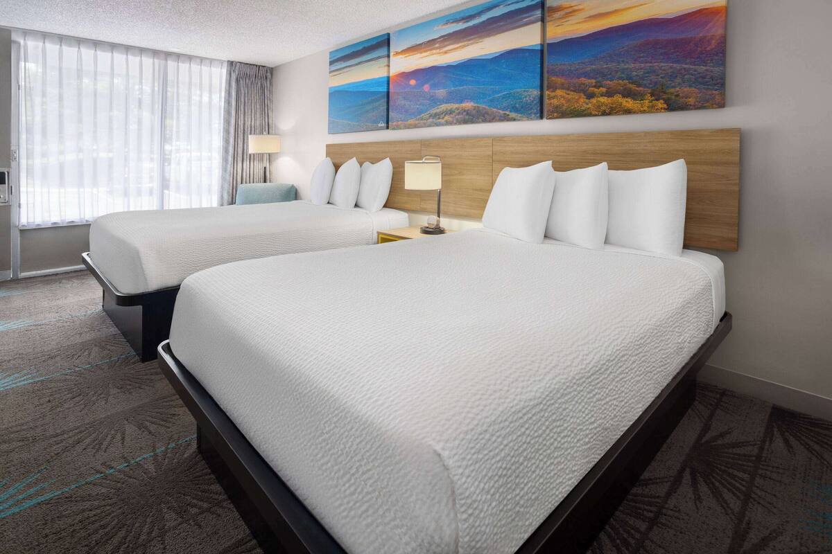 Ein Hotelzimmer mit zwei Betten, einem großen Fenster mit Vorhängen, einem Wandbild und einem Nachttisch mit Lampe.