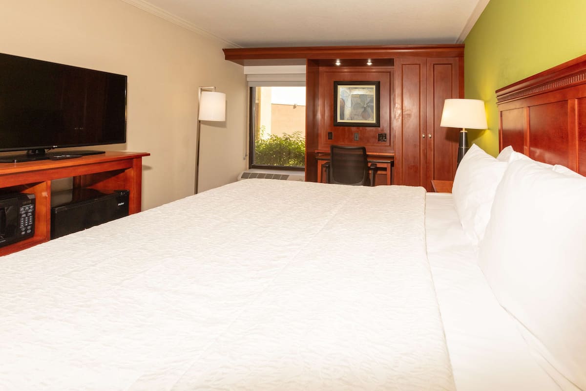 A hotel room with a large bed, a television on a wooden stand, a desk with a chair, and a window with a view of greenery.
